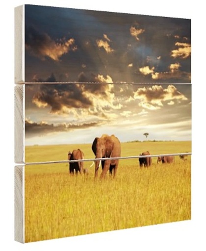 Kudde olifanten op graslandschap Hout 30x20 cm - Foto print op Hout (Wanddecoratie)