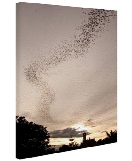 Grote groep vleermuizen Canvas 60x80 cm - Foto print op Canvas schilderij (Wanddecoratie)