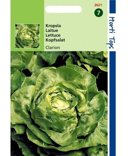 Kropsla Clarion -  Lactuca sativa - set van 4 stuks