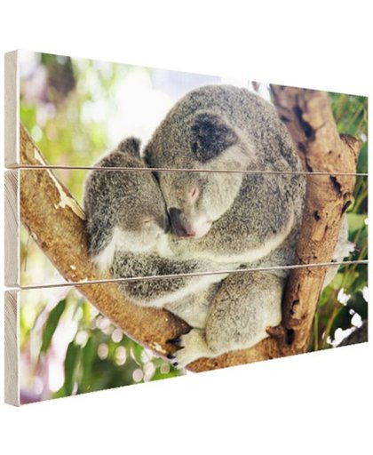 Knuffelende koala moeder en joey Hout 120x80 cm - Foto print op Hout (Wanddecoratie)