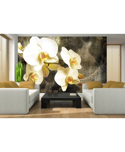 Fotobehang Papier Orchidee, Bloemen | Geel | 368x254cm