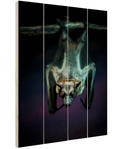 Close-up vleermuis Hout 60x80 cm - Foto print op Hout (Wanddecoratie)