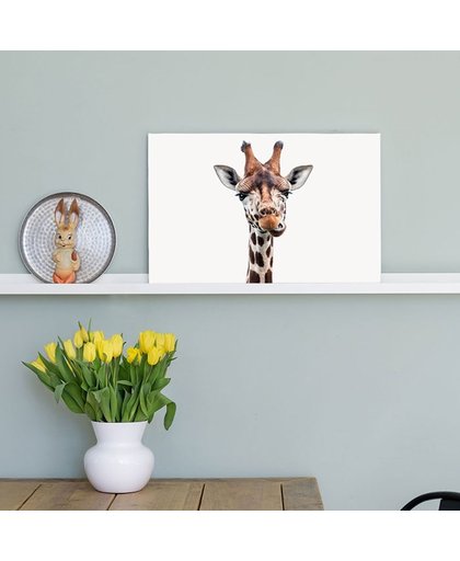 Giraffe portret - Print op Aluminium - 80x80 cm