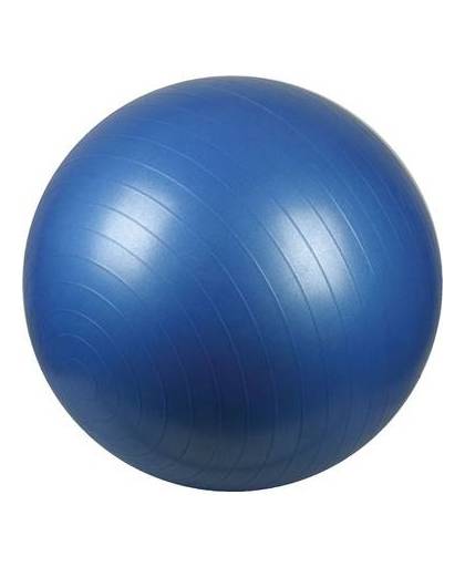 Avento Fitnessbal 65cm Blauw