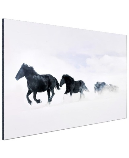 Zwarte paarden in de sneeuw Aluminium 60x40 cm - Foto print op Aluminium (metaal wanddecoratie)