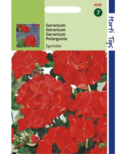 Hortitops Zaden - Pelargonium F1 Sprinter Oranje/Rood