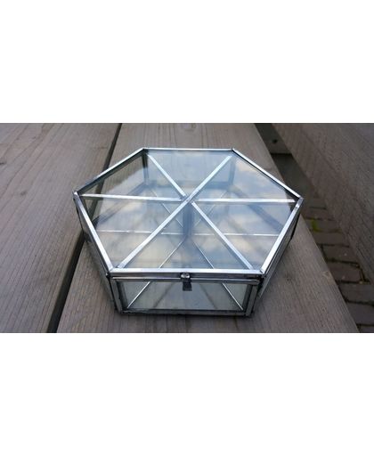 Vitrinebox - 6 vakken - Glas/Metaal - 15 x 17 x 5 cm - Evenaar