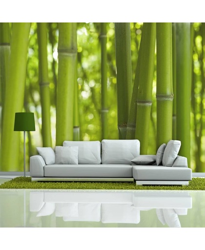 Fotobehang - bamboe - groen