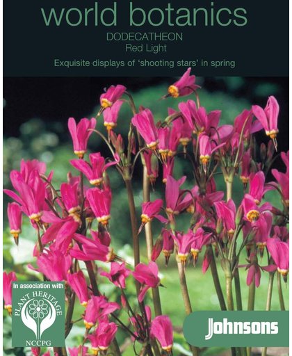 Botanics Dodecatheon Red Light