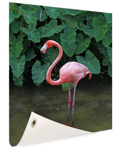 Een flamingo met planten achtergrond Tuinposter 80x120 cm - Foto op Tuinposter (tuin decoratie)