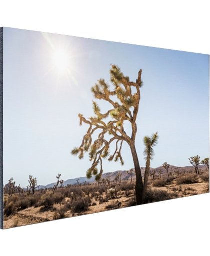 Woestijn met bomen Aluminium 120x80 cm - Foto print op Aluminium (metaal wanddecoratie)