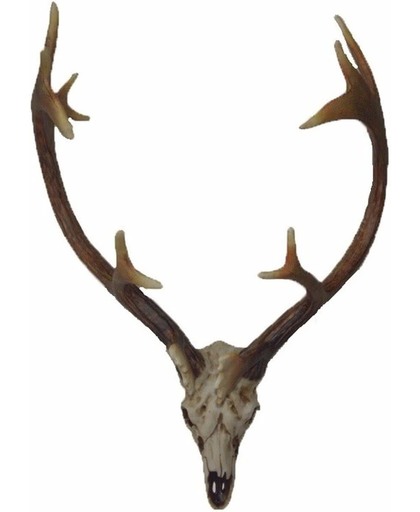Herten schedel met gewei 50 cm - Wanddecoratie