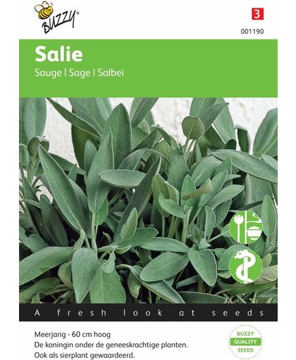Salie - Salvia officinalis - set van 8 stuks