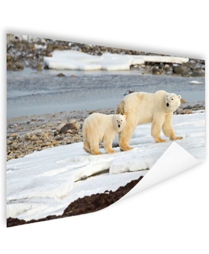 Moeder en zoon ijsbeer Poster 150x75 cm - Foto print op Poster (wanddecoratie)