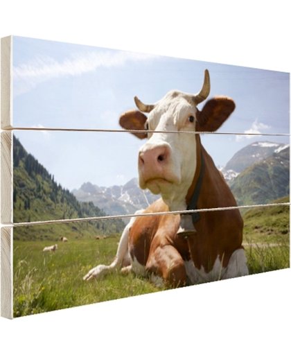 Liggende koe met bel Hout 80x60 cm - Foto print op Hout (Wanddecoratie)