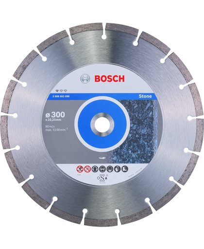 Bosch - Diamantdoorslijpschijf Standard for Stone 300 x 22,23 x 3,1 x 10 mm