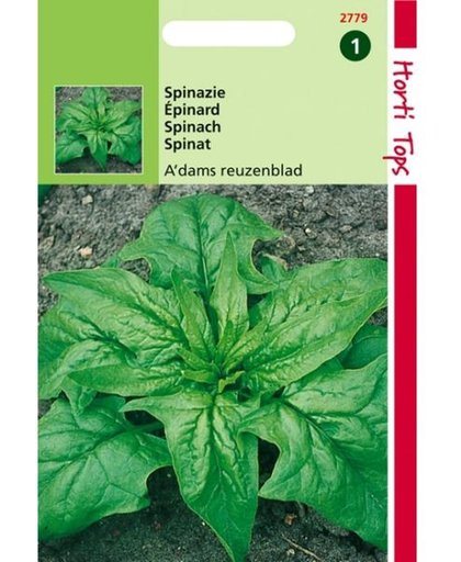 Spinazie Adams reuzenblad - Spinacia oleracea - set van 10 stuks