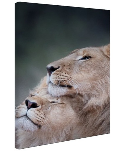 Twee leeuwen close-up foto Canvas 40x60 cm - Foto print op Canvas schilderij (Wanddecoratie)