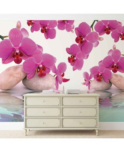 Fotobehang Flowers Orchids | DEUR - 211cm x 90cm | 130g/m2 Vlies