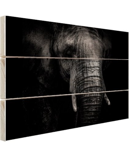 Gebarsten Olifant Hout 80x60 cm - Foto print op Hout (Wanddecoratie)