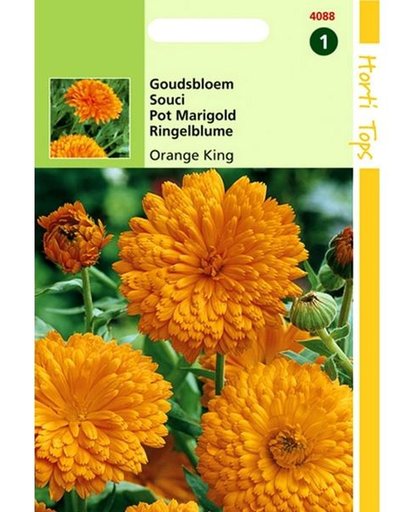 Goudsbloem Orange King - Calendula officinalis - set van 10 stuks