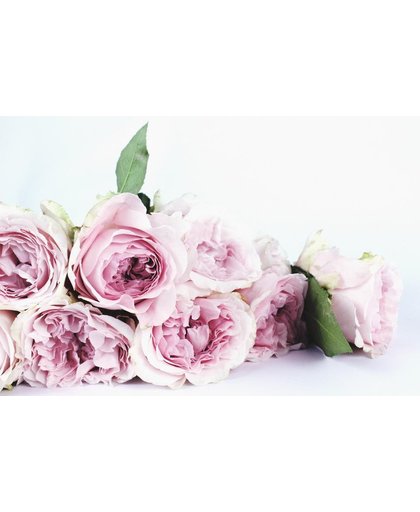 Roos Behang | Het boeket van roze rozen | 375 x 250 cm | Extra Sterk Vinyl Behang
