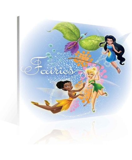 Disney Fairies Tinker Bell Silvermist Canvas Print 80cm x 80cm
