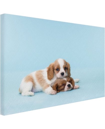 Twee slaperige pups Canvas 80x60 cm - Foto print op Canvas schilderij (Wanddecoratie)