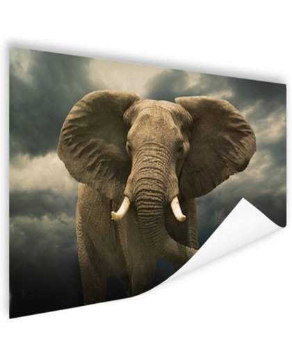 Afrikaanse olifant donkere wolken Poster 90x60 cm - Foto print op Poster (wanddecoratie)
