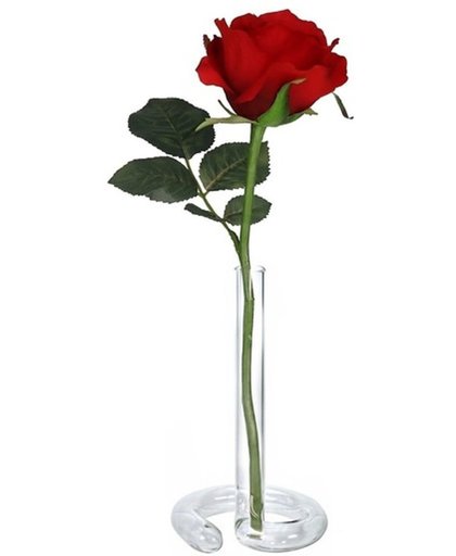 Valentijnscadeau rode roos 30 cm in vaasje