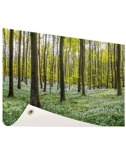 Foto van bos in de lente Tuinposter 120x80 cm - Foto op Tuinposter (tuin decoratie)