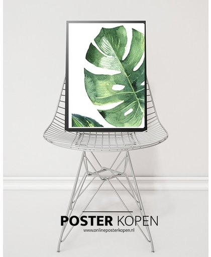 ONLINE POSTER KOPEN -  Botanische poster A3 formaat