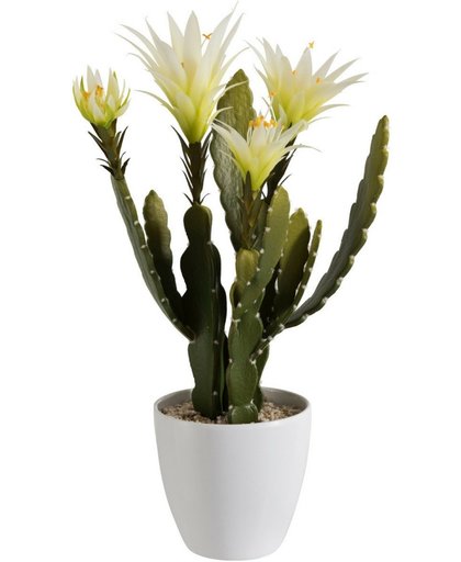 Kunstplant cactus met bloemen