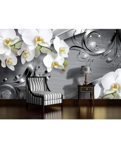 Fotobehang Bloemen, Orchidee | Zilver | 152,5x104cm