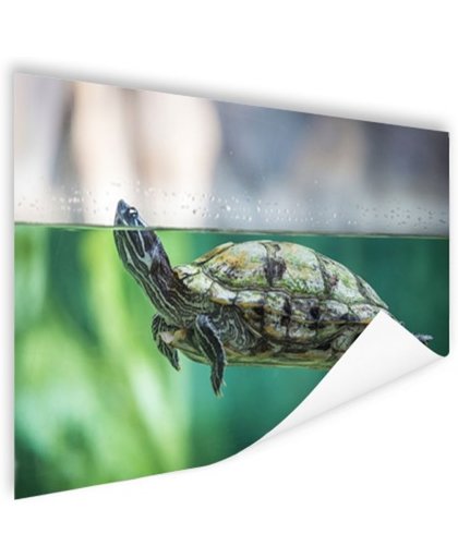 Close-up foto van schildpad Poster 90x60 cm - Foto print op Poster (wanddecoratie)