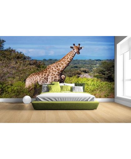 Giraffe in de natuur Fotobehang 380x265 (Airtex, Naadloos)