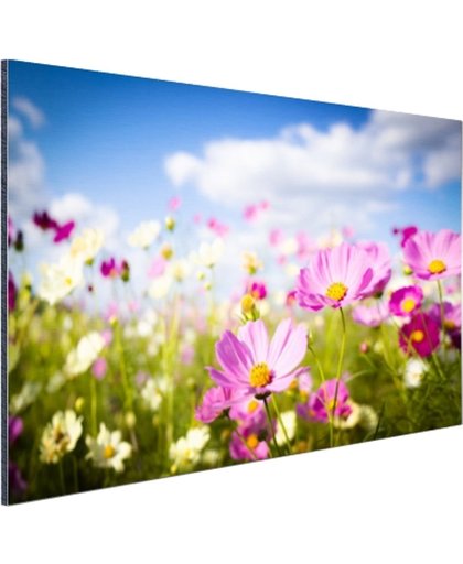 Bloemen in volle bloei Aluminium 60x40 cm - Foto print op Aluminium (metaal wanddecoratie)