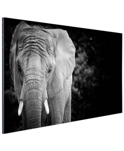 Olifant zwart-wit Aluminium 60x40 cm - Foto print op Aluminium (metaal wanddecoratie)
