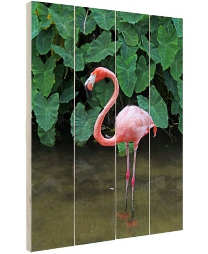 Een flamingo met planten achtergrond Hout 20x30 cm - Foto print op Hout (Wanddecoratie)