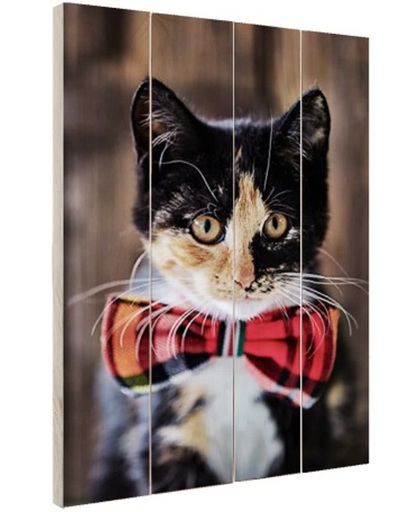 Kat met strikje Hout 120x160 cm - Foto print op Hout (Wanddecoratie)