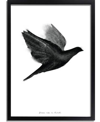Zwart wit poster Vogel DesignClaud - Waterverf stijl - A2 + Fotolijst zwart