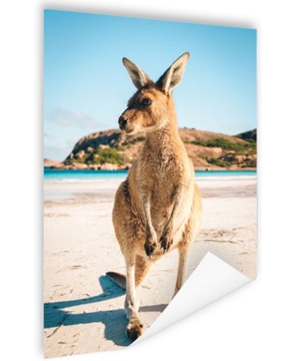 Een kangoeroe op het strand Poster 75x150 cm - Foto print op Poster (wanddecoratie)