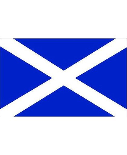 Vlag Schotland - schotse vlag 150x90cm