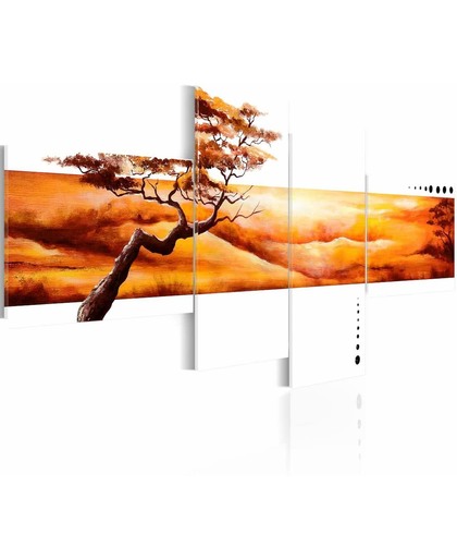 Schilderij - Oranje wolken boven de savanne