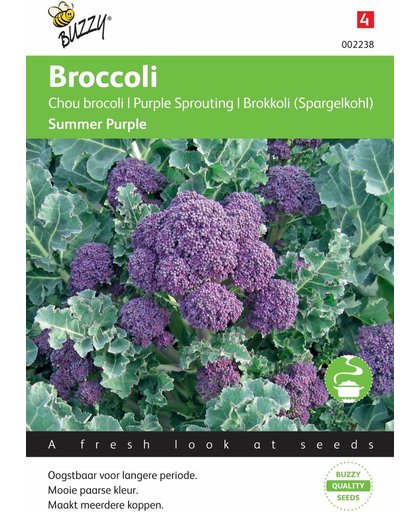 Buzzy® Broccoli Summer Purple