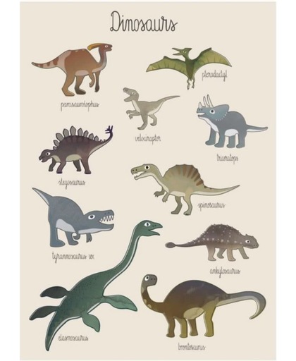 Sebra Dino Poster