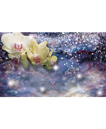 Fotobehang Sparkle Flowers Orchids | XXXL - 416cm x 254cm | 130g/m2 Vlies