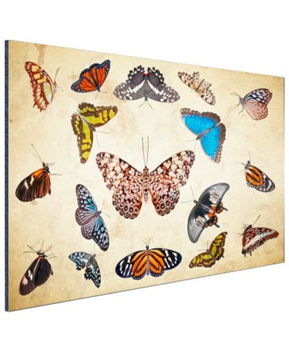 Botanische print vlinders Aluminium 90x60 cm - Foto print op Aluminium (metaal wanddecoratie)
