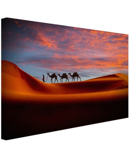 Woestijn met kamelen Canvas 60x40 cm - Foto print op Canvas schilderij (Wanddecoratie)