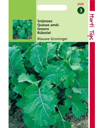 Snijmoes Blauwe Groninger - Brassica napus - set van 8 stuks